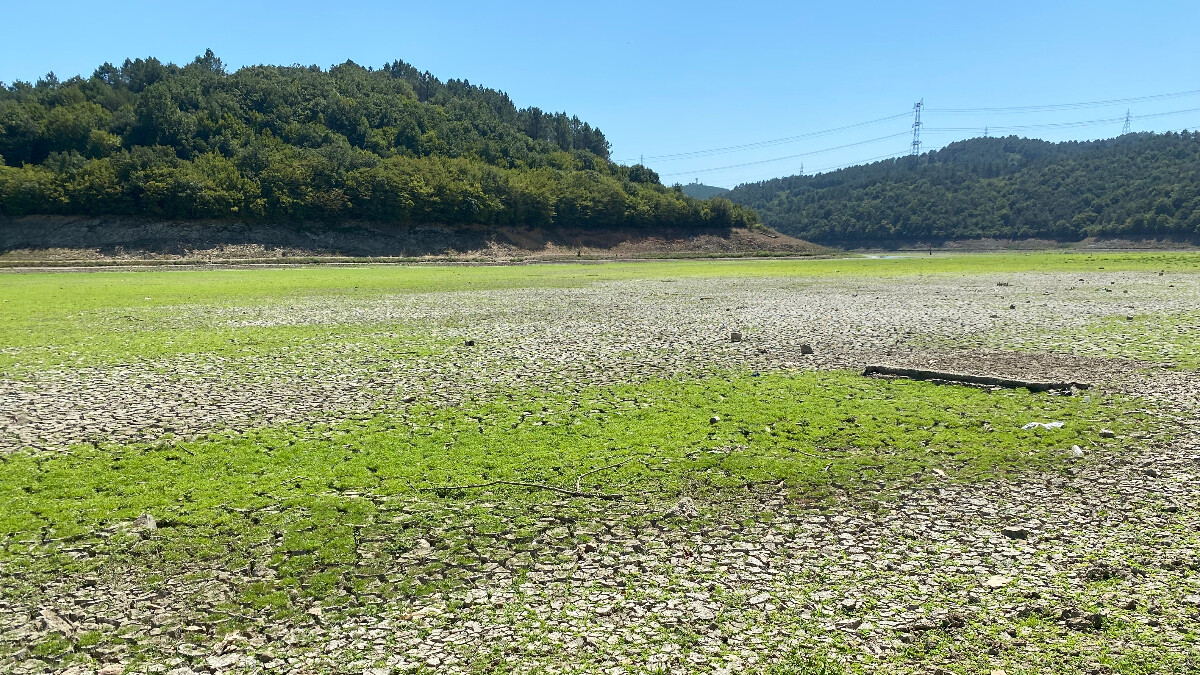 İstanbul’da kuraklık! Sulların çekildiği gölet yeşil alana döndü