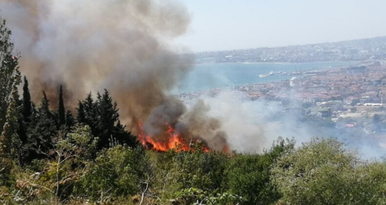 İstanbul’da ormanlık alanda yangın başladı