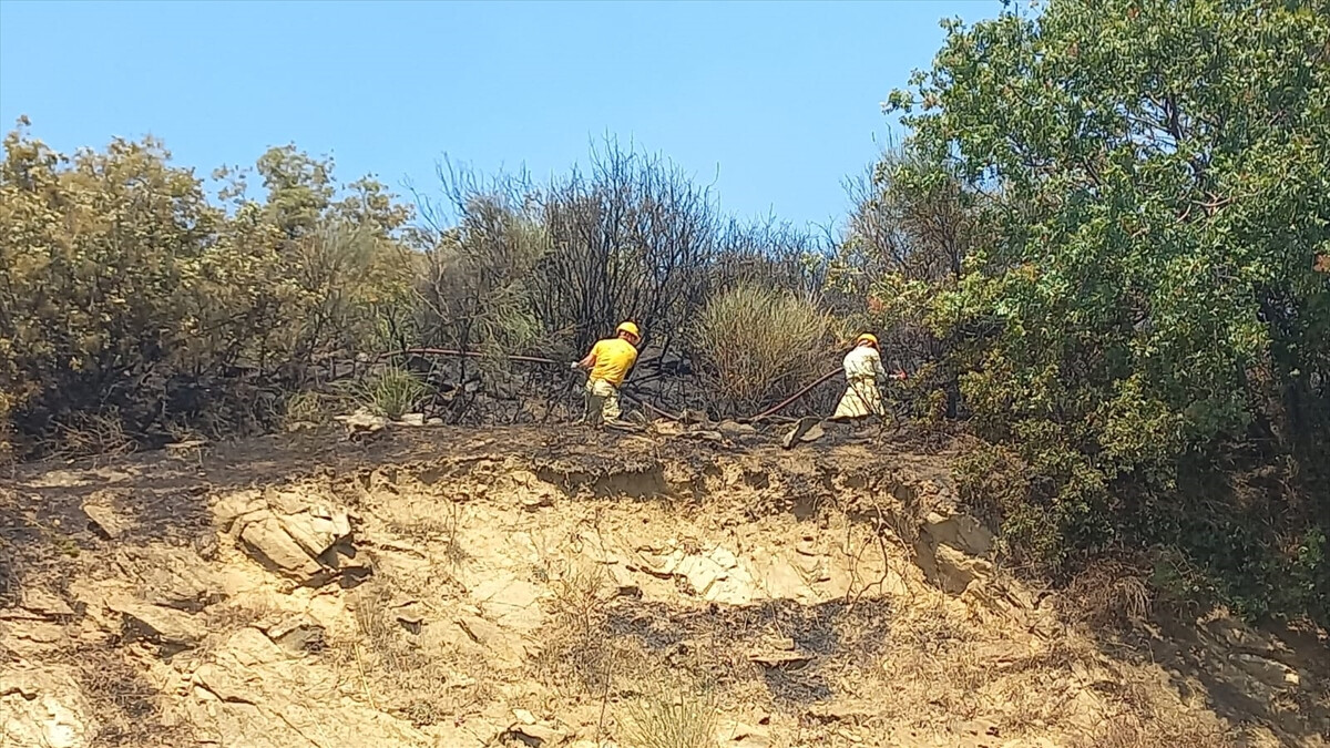İzmir’de makilik alanda yangın