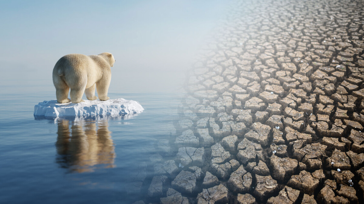 Karbon emisyonlarının yüzde 40’ından Amerikalı milyonerler sorumlu