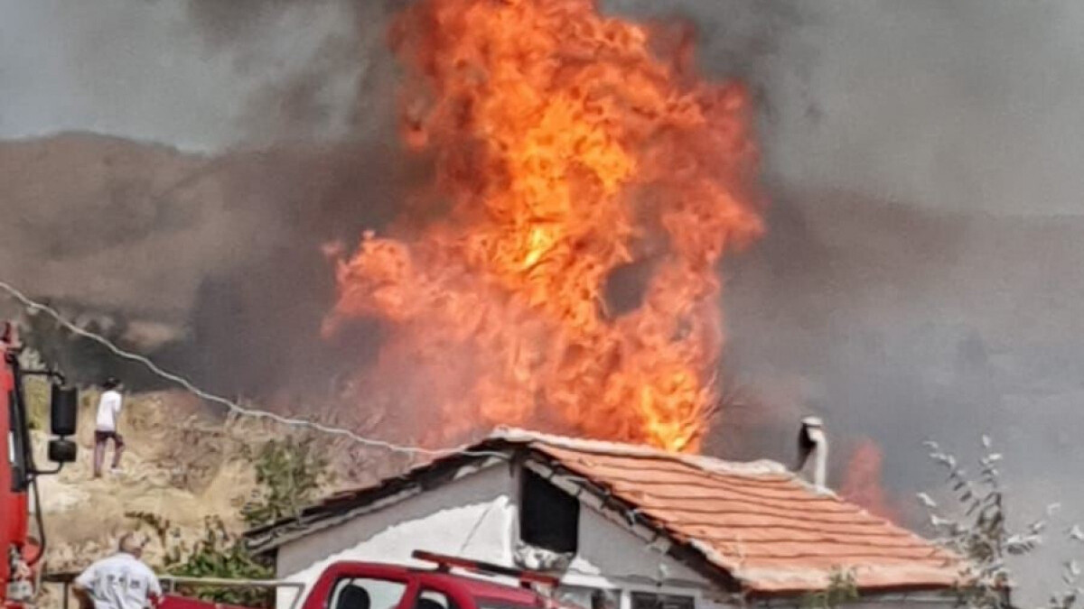 Kırşehir’deki yangında arılar telef oldu