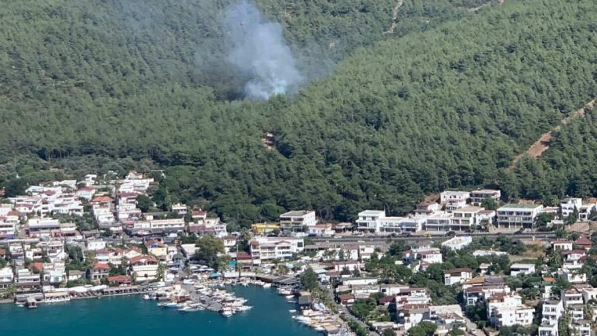 Muğla’da orman yangını çıktı
