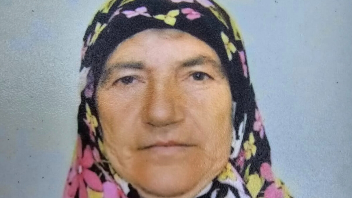 Ordu’da geri manevra yapan kamyonetin çarptığı kadın öldü