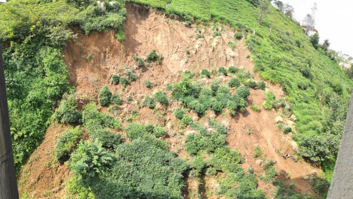 Rize’de kontrolsüz ağaç kesimi toprak kaymasına davetiye çıkartıyor