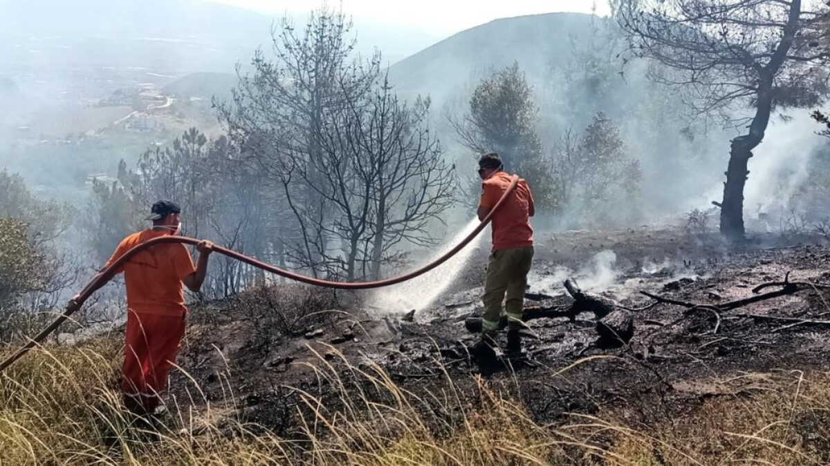 Sakarya’da arazi yangını! 8 dönüm alan kül oldu