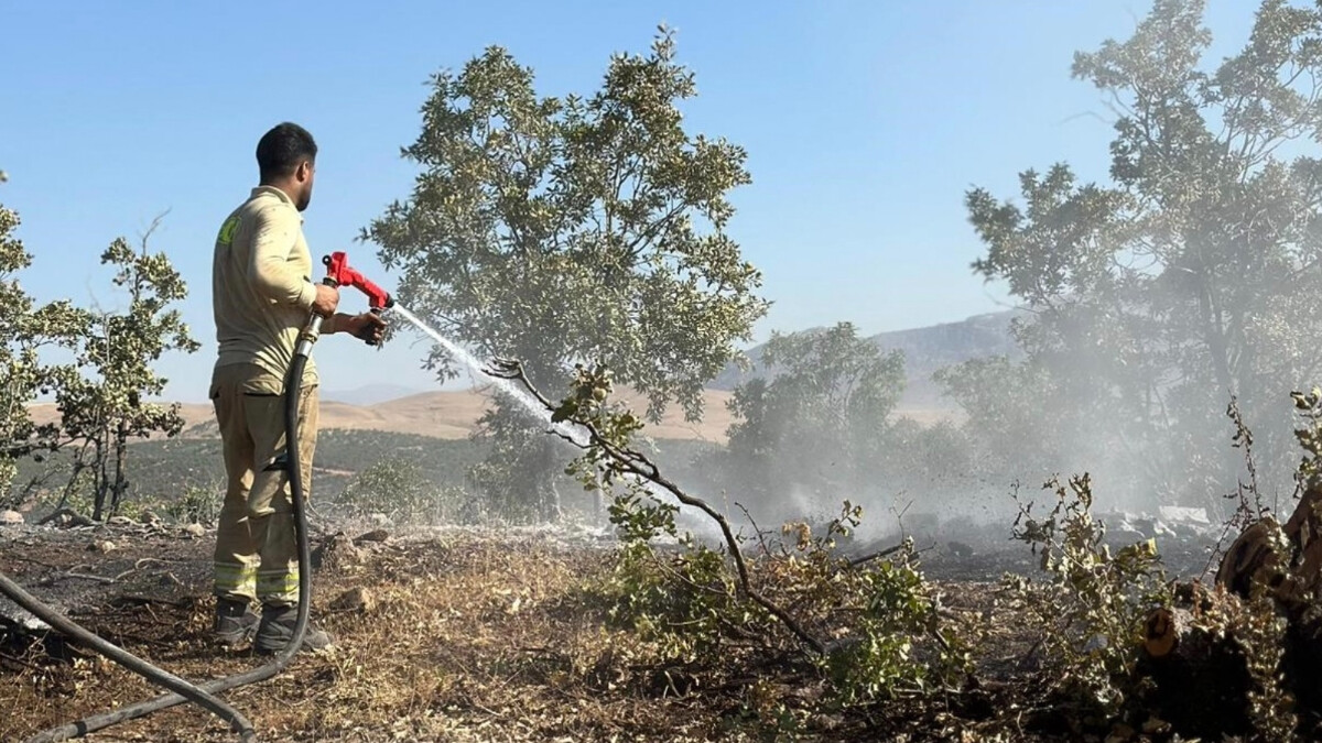 Siirt’teki yangın 17 saatte kontrol altına alındı