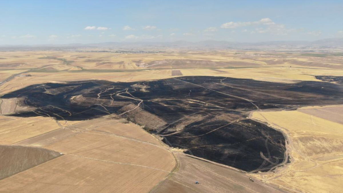 Sivas’ta 3 bin dönümlük buğday tarlası kül oldu