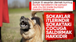 Sokak köpeklerini savunan dernek yöneticisi annelere ve çocuklara tehditler savurdu