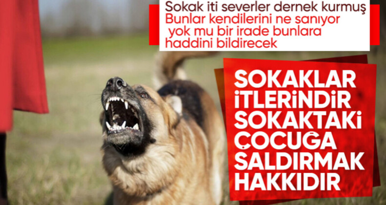 Sokak köpeklerini savunan dernek yöneticisi annelere ve çocuklara tehditler savurdu