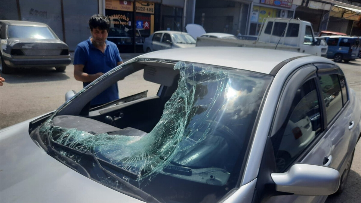 Trabzon’da ayı park halindeki otomobili hurdaya çevirdi