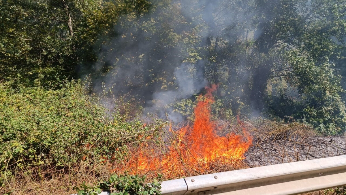 Türkiye’de örtü altı yangınları! Karabük’te orman yangını