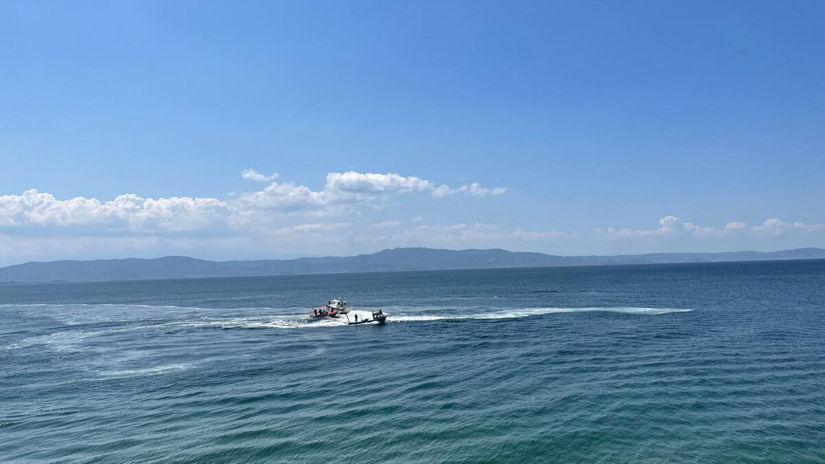 Yasa dışı avcılığa geçit yok! 2023’te 1263 kişiye ceza kesildi