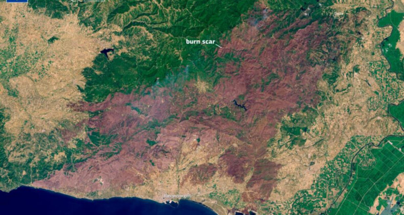 Yunanistan’da durdurulamayan orman yangını: AB tarihinin en büyüğü