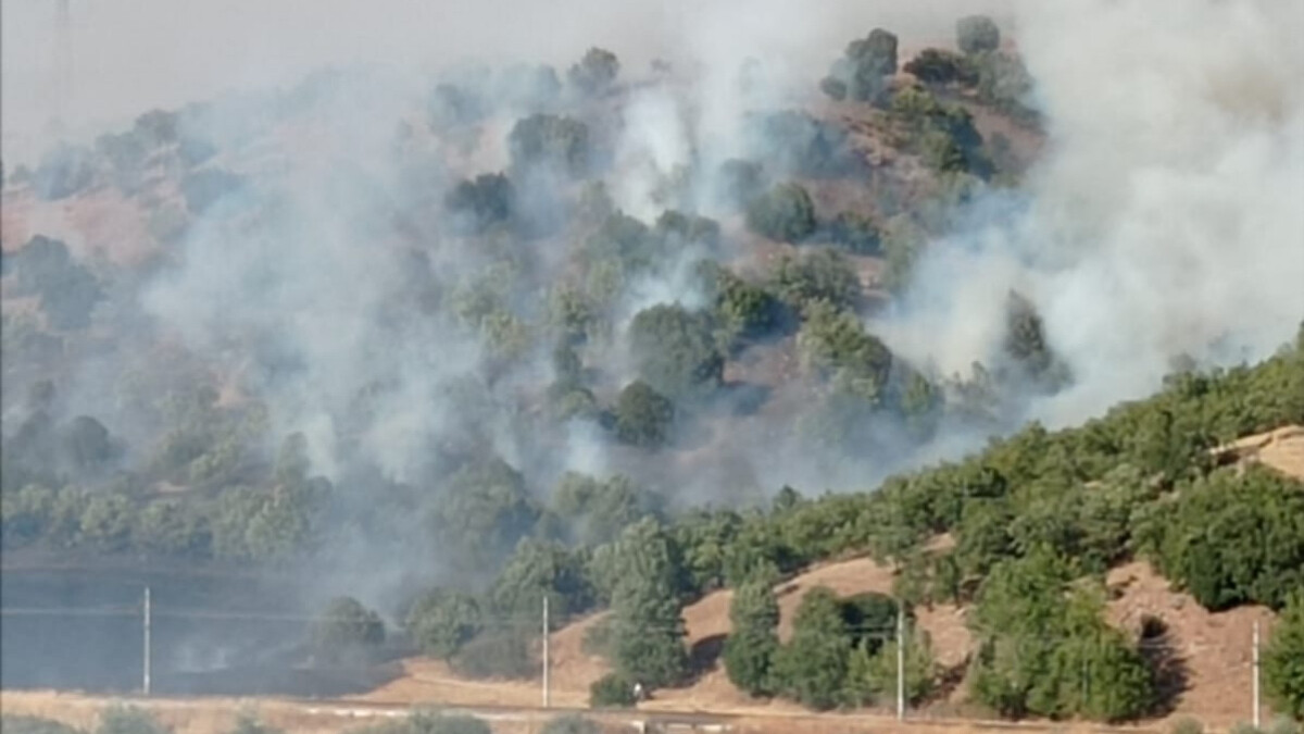 Adıyaman’daki anız yangını ormana sıçradı
