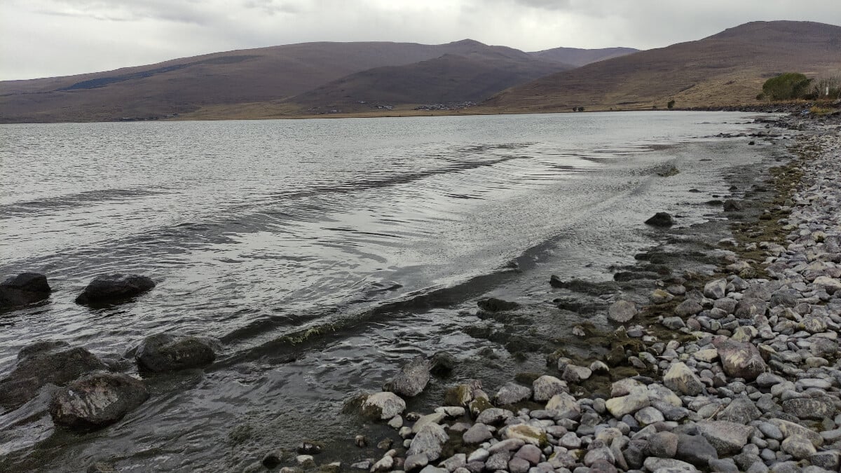 Alg patlaması yaşandı! Ardahan’da Çıldır Gölü yeşil renge büründü