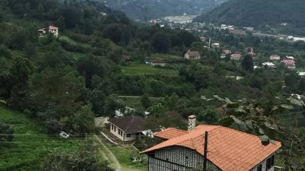 Artvin’de sahibini ısıran köpek kuduz çıktı! 3 köy karantinaya alındı