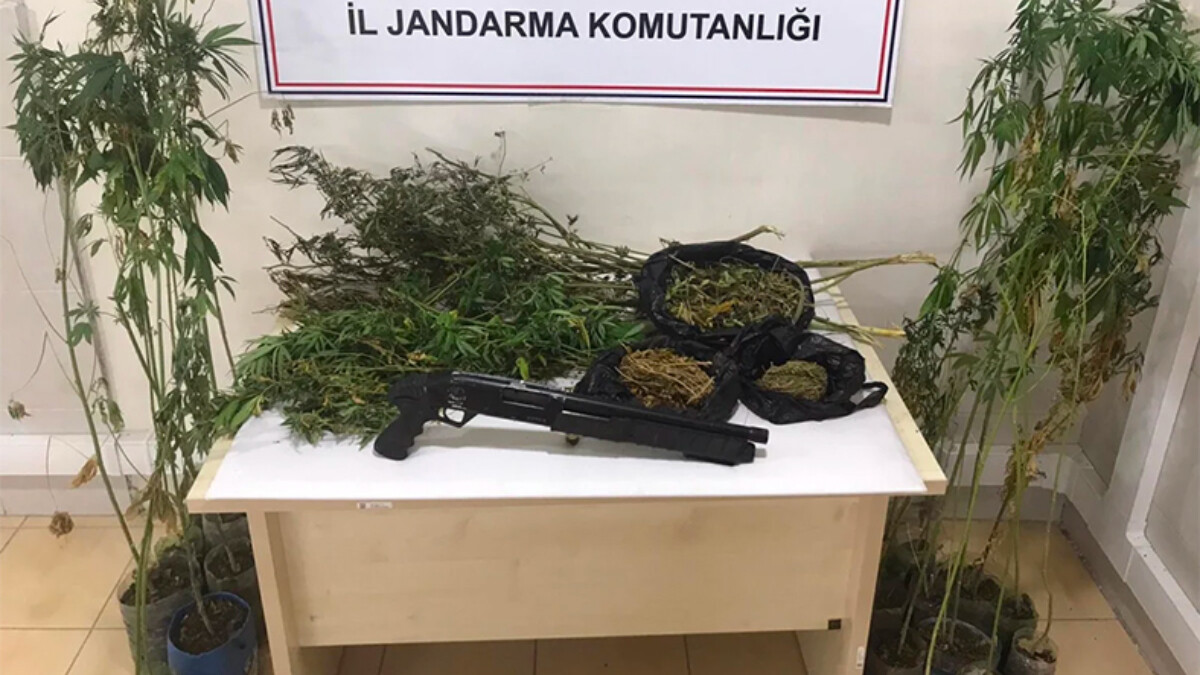 Balıkesir’deki uyuşturucu operasyonunda 3 kişi gözaltına alındı