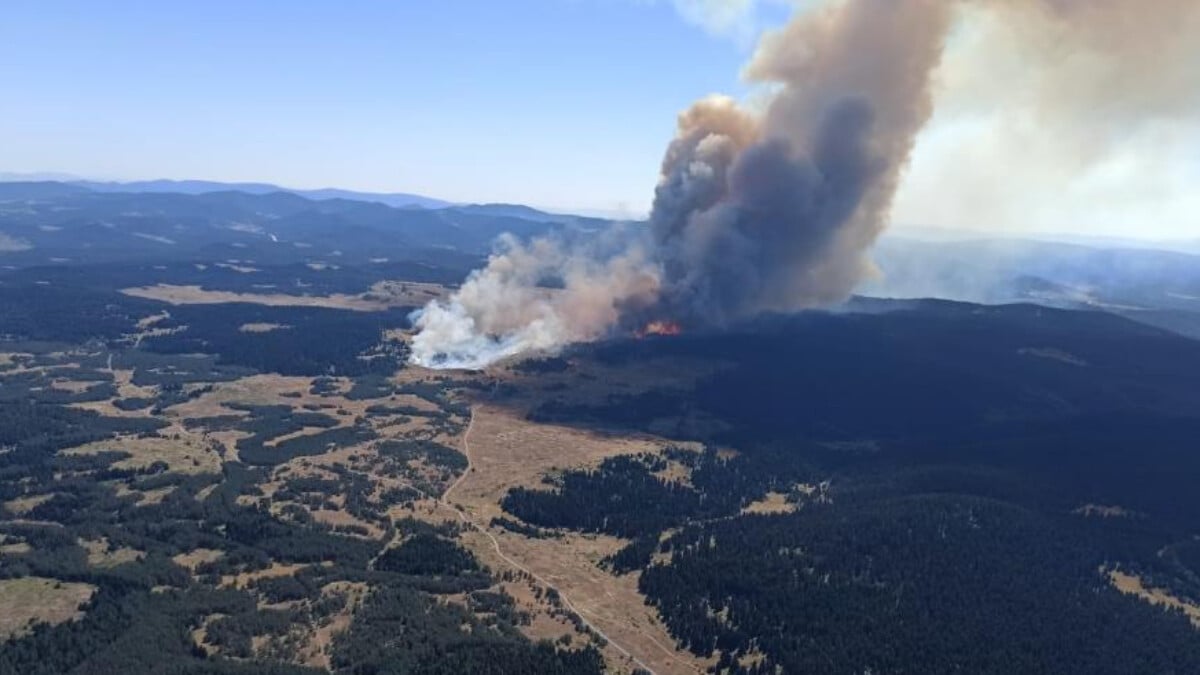 Bolu’da orman yangını