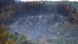 Bursa orman yangınında 2’nci gün! Havadan ve karadan müdahale sürüyor