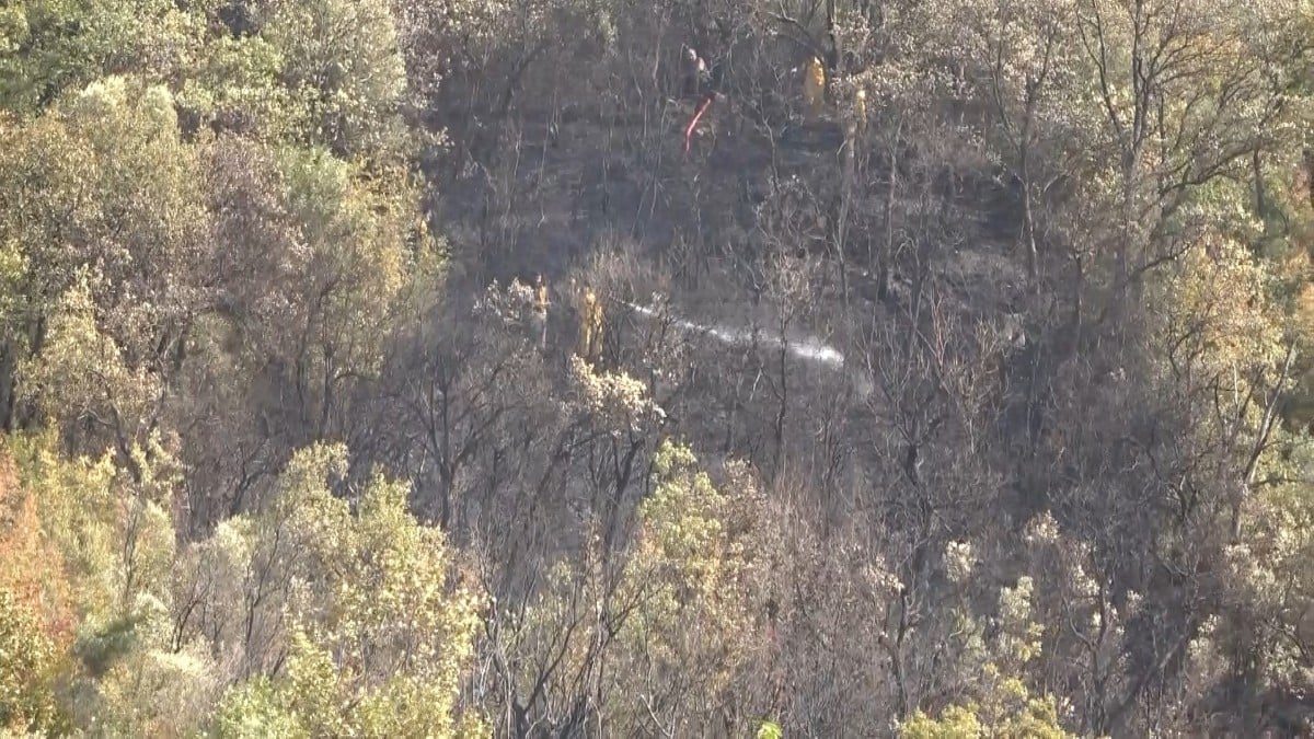 Bursa’da çöpleri yakarken ormanı yakan kişi gözaltına alındı