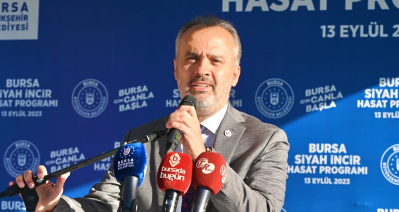 Bursa’nın marka tarım ürünleri! Siyah incir hasatı başladı…