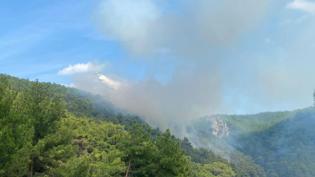 Çanakkale’de orman yangını! Havadan ve karadan müdahale ediliyor