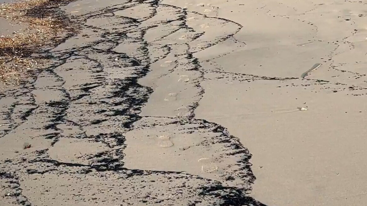 Çanakkale’de orman yangının ardından sahil siyaha büründü