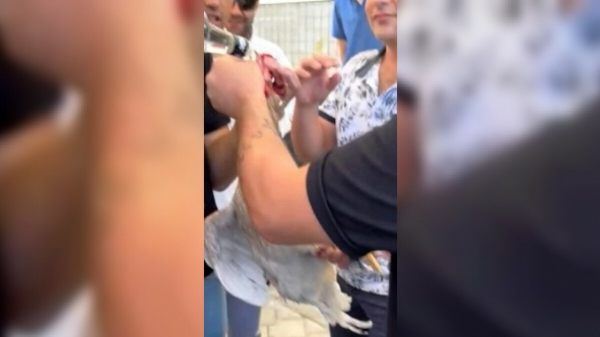 Denizli’de horoza alkol içirip işkence eden 5 kişiye 27 bin lira ceza kesildi