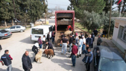 Deprem bölgesinde çiftçilere hibe desteği devam ediyor