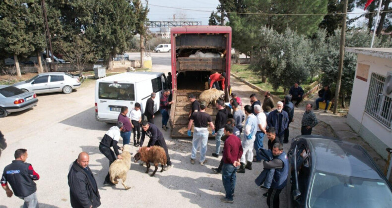 Deprem bölgesinde çiftçilere hibe desteği devam ediyor