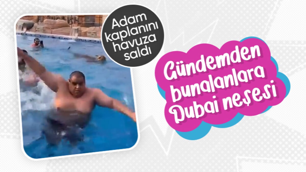 Dubai’de eğlence anlayışı! İş insanından havuzdaki arkadaşlarına kaplan sürprizi