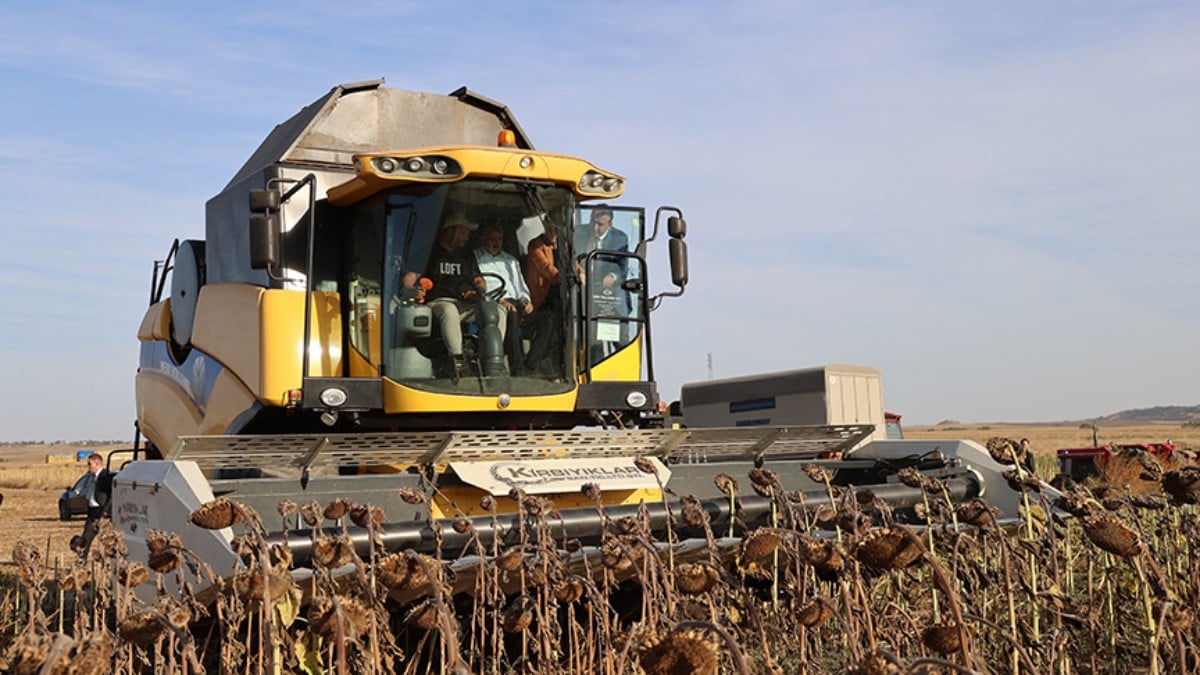 Edirne’de yerli tohumdan üretilen ayçiçeğinin verimi arttı