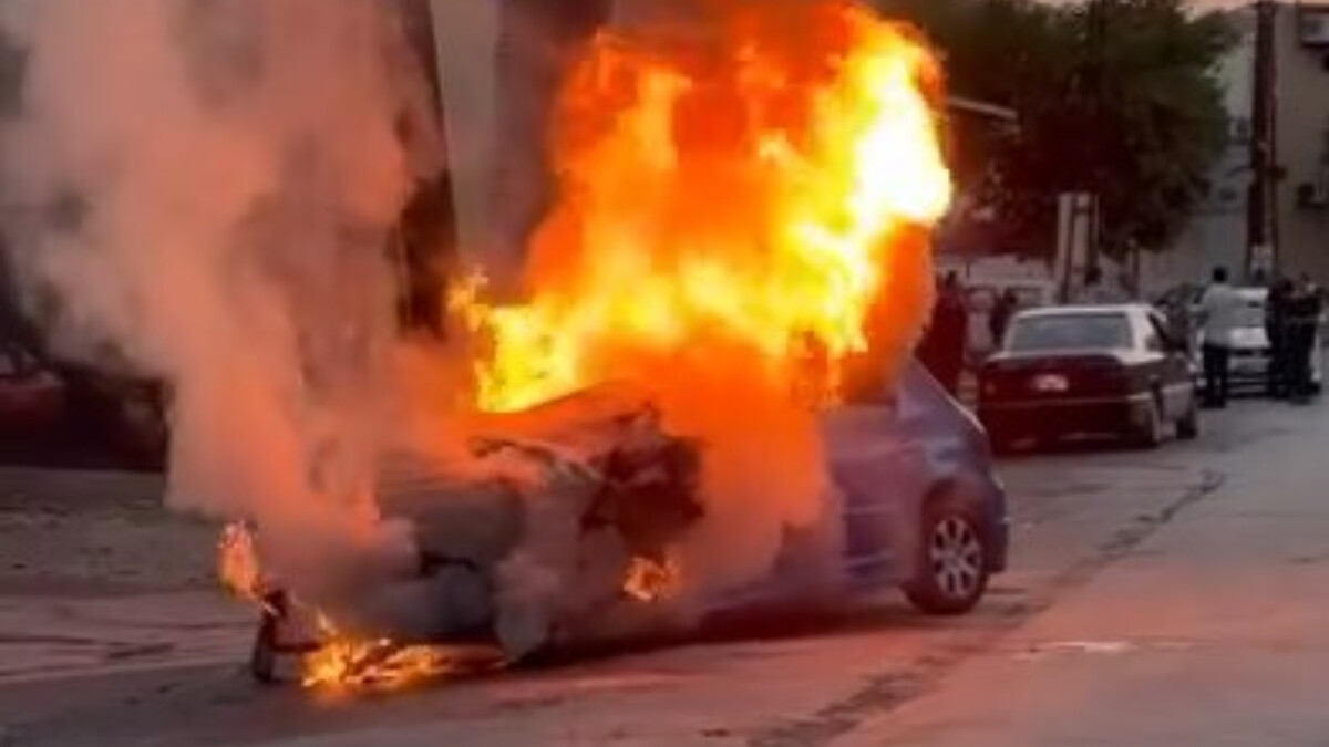 Elazığ’da seyir halindeyken alev alan otomobil küle döndü