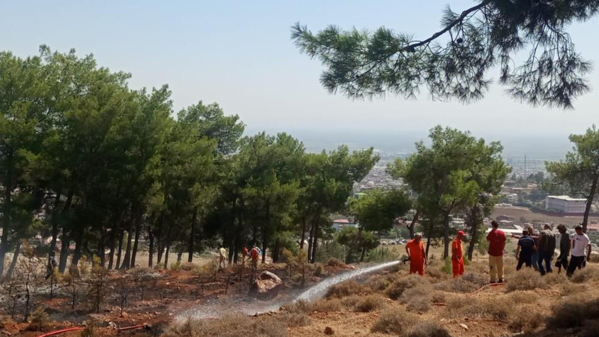 Hatay’da ormanlık alanda çıkan yangın söndürüldü
