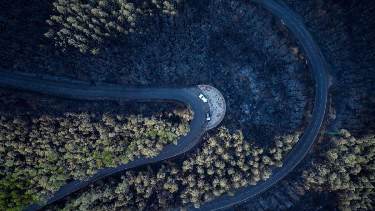 İspanya’da Tenerife Adası’ndaki orman yangınında ekonomik kayıp 80 milyon euro