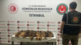 İstanbul havalimanlarında 53 kilo insan saçı ele geçirildi