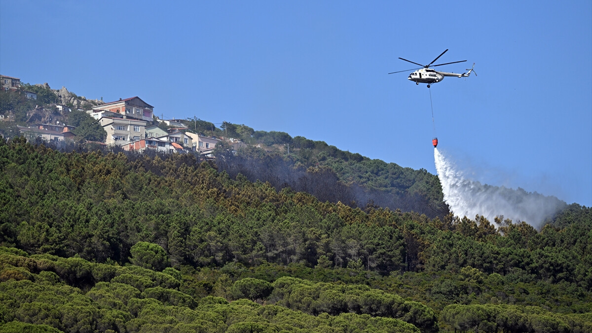İstanbul Maltepe’de çıkan orman yangınıyla ilgili 2 kişi gözaltına alındı