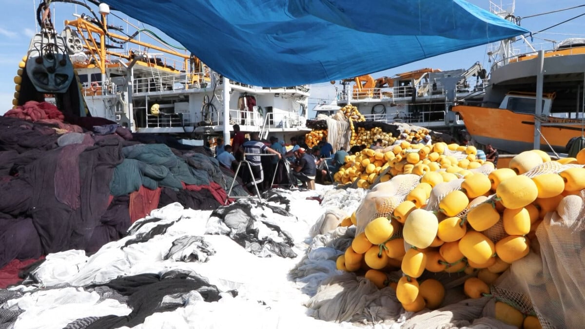 İstanbul’da balık gerginliği! Balıkçılar denize açılmıyor esnaf balık bekliyor