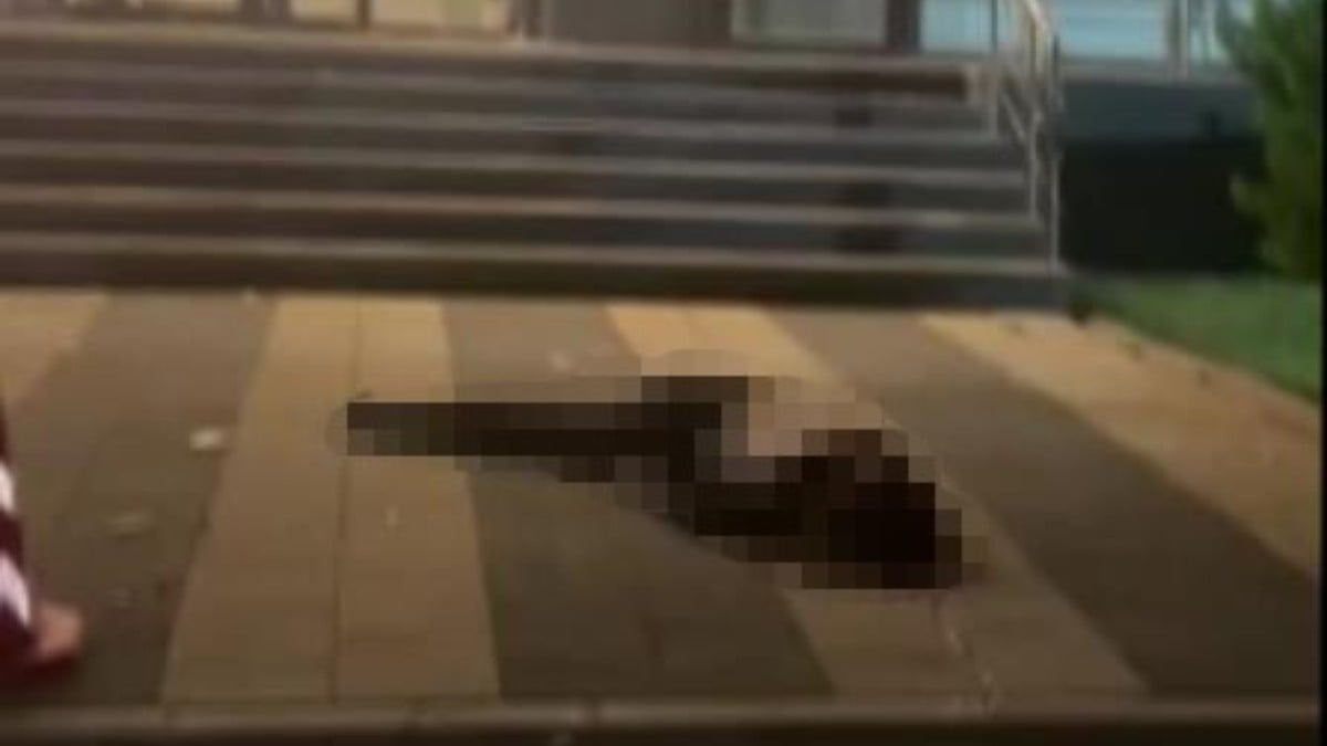 İstanbul’da genç avukat çalıştığı plazanın 11’inci katından düştü