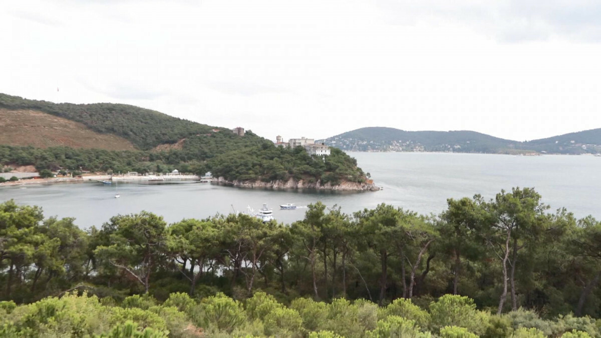 İstanbul’da orman yangınlarına önlem! Ağaçlara ‘Kozalak’ isimli cihaz yerleştirildi