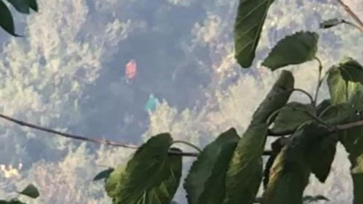 İstanbul’da ormanlık alanda yangın! Bidonlarla kaçtılar…