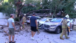 İstanbul’da rüzgar ağacı aracın üzerine devirdi! 51 daire icralık oldu