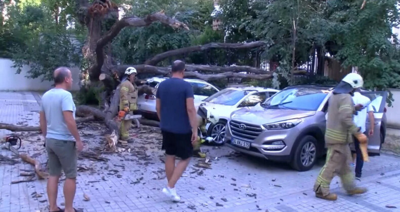 İstanbul’da rüzgar ağacı aracın üzerine devirdi! 51 daire icralık oldu