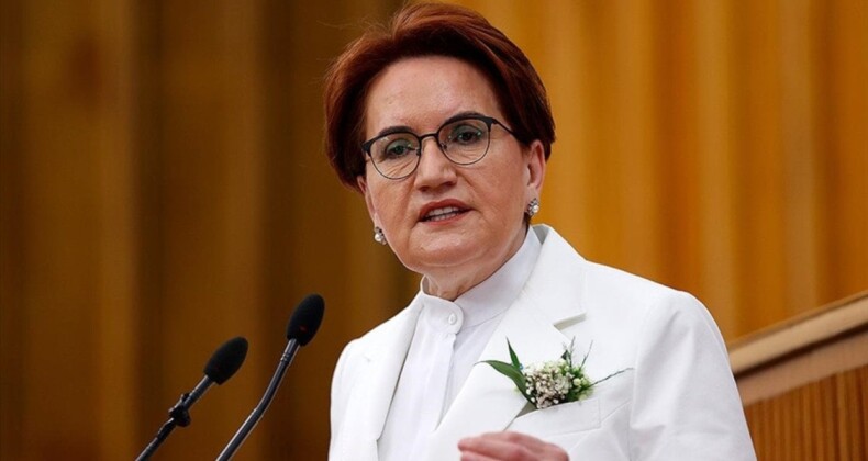 İyi Parti Lideri Meral Akşener rahatsızlandı: Programlar ertelendi