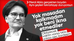 İyi Parti lideri Meral Akşener’den 6’lı masa itirafları