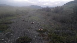 Karabağ’da Ermenilere ait mühimmatlar! Patlamamış mayınlar temizlendi…