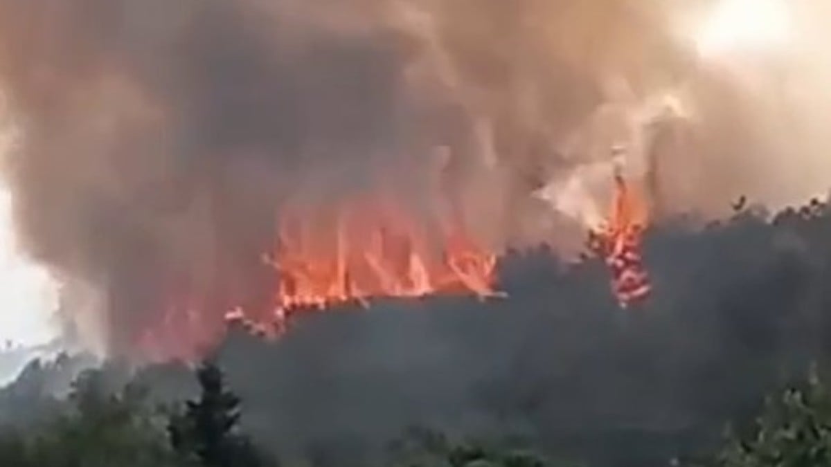 Kocaeli’nin Gebze ilçesinde orman yangını