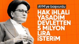 Meral Akşener’den AYM’ye bireysel başvuru: Tazminat davası açtı