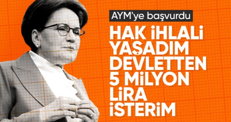 Meral Akşener’den AYM’ye bireysel başvuru: Tazminat davası açtı