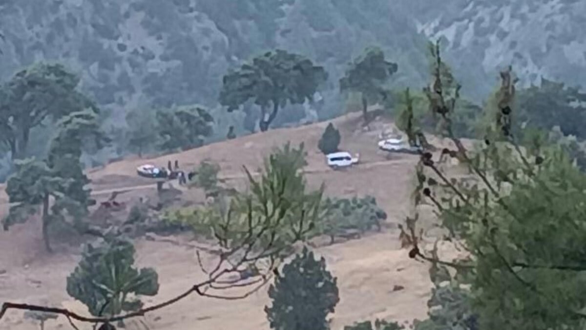 Mersin’de üzerine tomruk düşen orman işçisi öldü